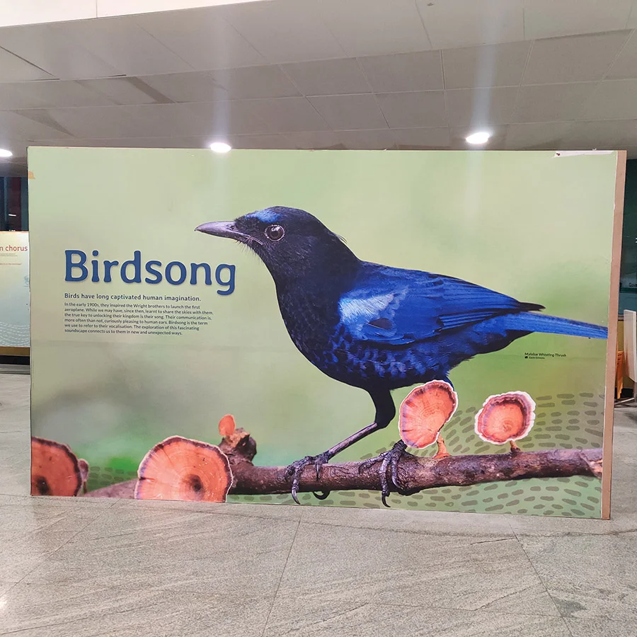 bird_song_exhibition